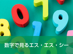 数字で見るエス・エス・シー